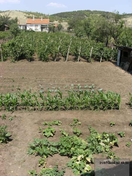 31/07/2009 10:48:50 (    )