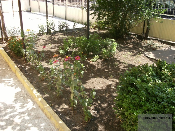 31/07/2009 10:57:37 (    )