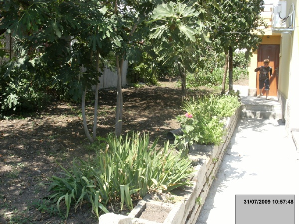 31/07/2009 10:57:48 (    )