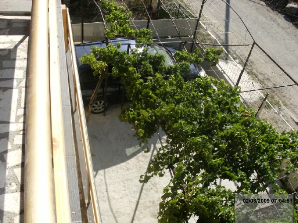 02/08/2009 07:04:51 (    )