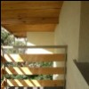 450x600 (112.5 KB)