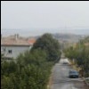 9 photo(s)